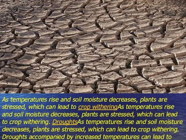 As temperatures rise and soil moisture decreases, plants are stressed, which can