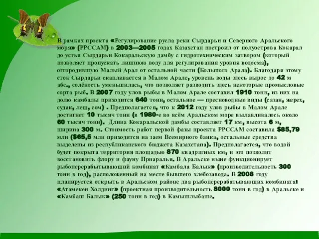 В рамках проекта «Регулирование русла реки Сырдарьи и Северного Аральского моря» (РРССАМ)