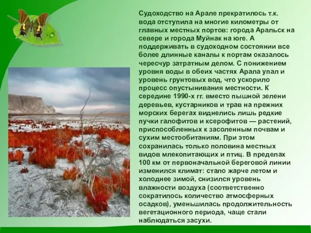 Судоходство на Арале прекратилось т.к. вода отступила на многие километры от главных