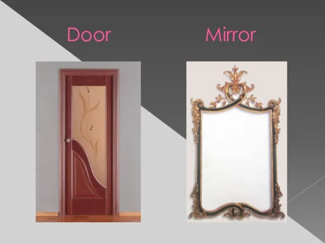 Door Mirror