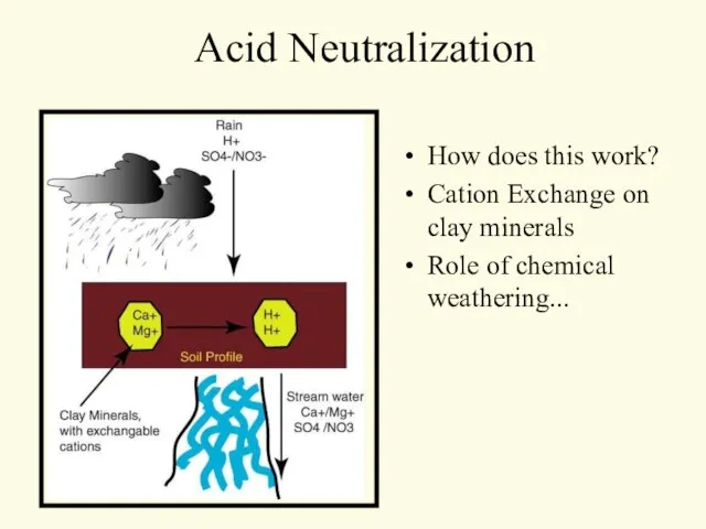 Acid Neutralization How does this work? Cation Exchange on clay minerals Role of chemical weathering...