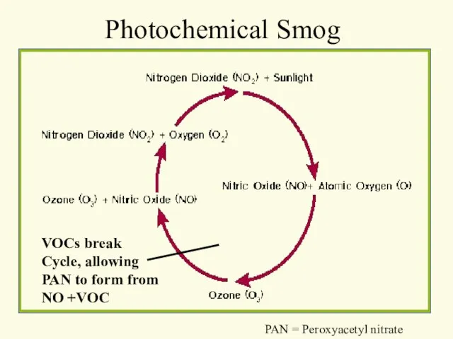 Photochemical Smog VOCs break Cycle, allowing PAN to form from NO +VOC PAN = Peroxyacetyl nitrate