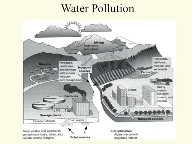 Water Pollution