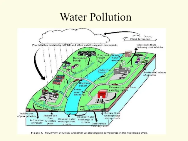 Water Pollution