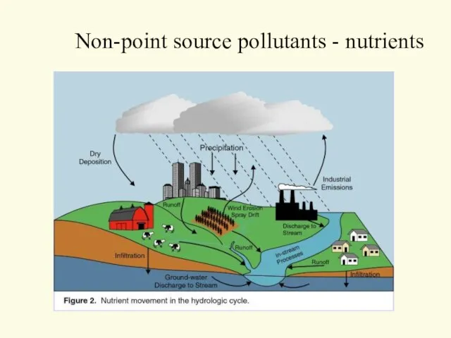 Non-point source pollutants - nutrients