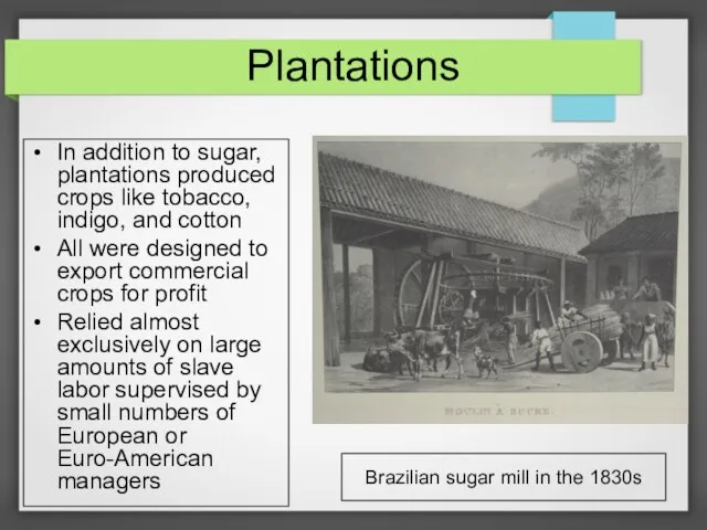 Plantations In addition to sugar, plantations produced crops like tobacco, indigo, and