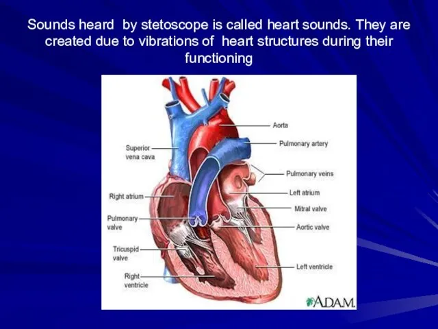 Sounds heard by stetoscope is called heart sounds. They are created due