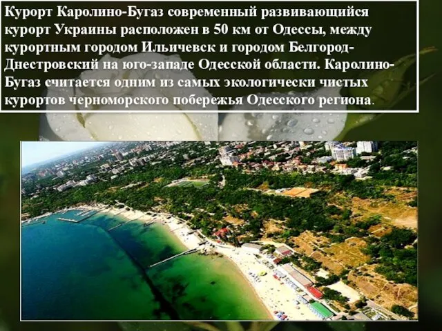 Курорт Каролино-Бугаз современный развивающийся курорт Украины расположен в 50 км от Одессы,