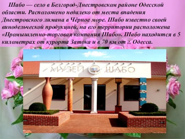 Шабо — село в Белгород-Днестровском районе Одесской области. Расположено недалеко от места