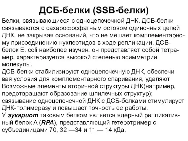 ДСБ-белки (SSB-белки) Белки, связывающиеся с одноцепочечной ДНК. ДСБ-белки связываются с сахарофосфатным остовом