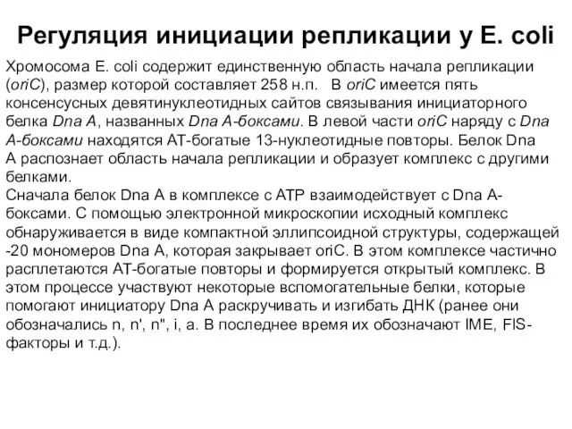 Регуляция инициации репликации у E. coli Хромосома Е. coli содержит единственную область