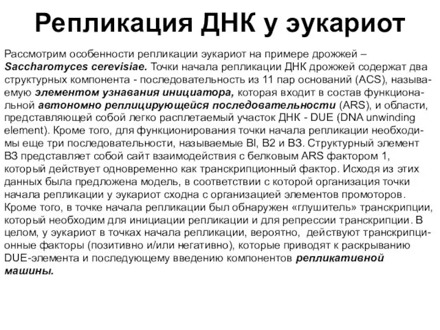 Репликация ДНК у эукариот Рассмотрим особенности репликации эукариот на примере дрожжей –