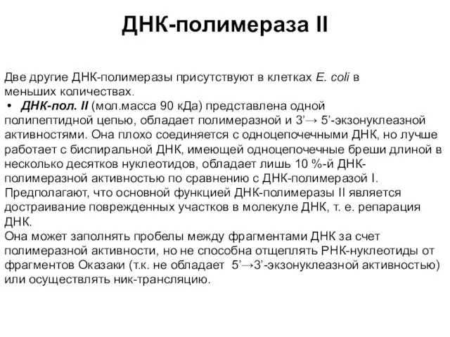 ДНК-полимераза II Две другие ДНК-полимеразы присутствуют в клетках E. сoli в меньших