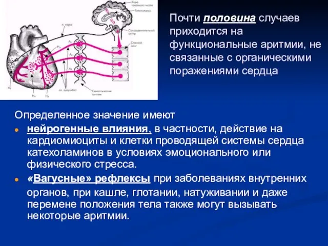 Почти половина случаев приходится на функциональные аритмии, не связанные с органическими поражениями