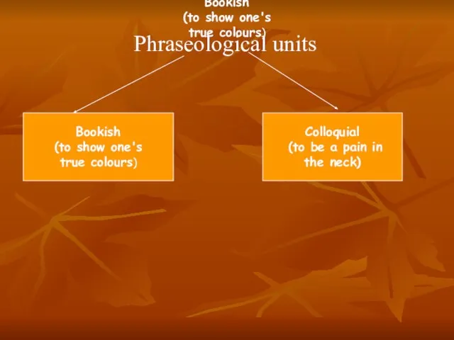 Bookish (to show one's true colours) Phraseological units Bookish (to show one's