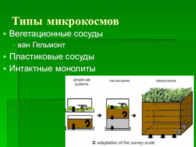 Типы микрокосмов Вегетационные сосуды ван Гельмонт Пластиковые сосуды Интактные монолиты