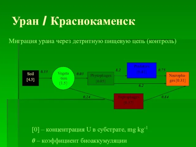 Миграция урана через детритную пищевую цепь (контроль) Soil [4.5] Phytophages [0.05] Predators