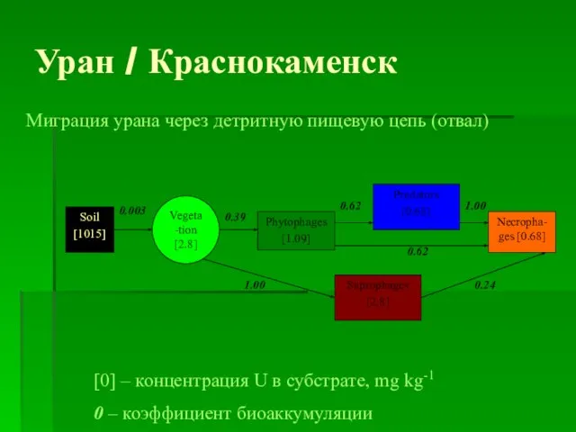 Soil [1015] Phytophages [1.09] Predators [0.68] Necropha-ges [0.68] Saprophages [2.8] Vegeta-tion [2.8]