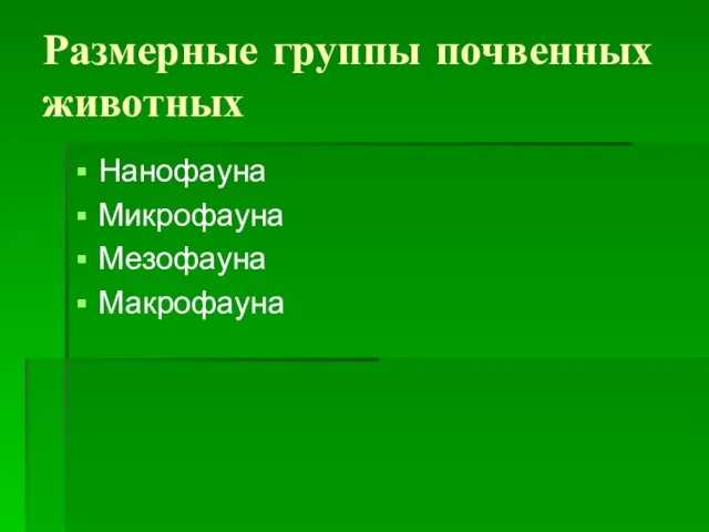 Размерные группы почвенных животных Нанофауна Микрофауна Мезофауна Макрофауна