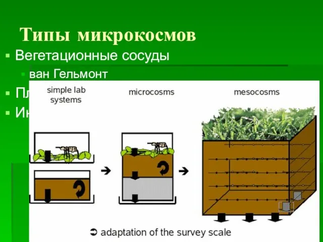 Типы микрокосмов Вегетационные сосуды ван Гельмонт Пластиковые сосуды Интактные монолиты