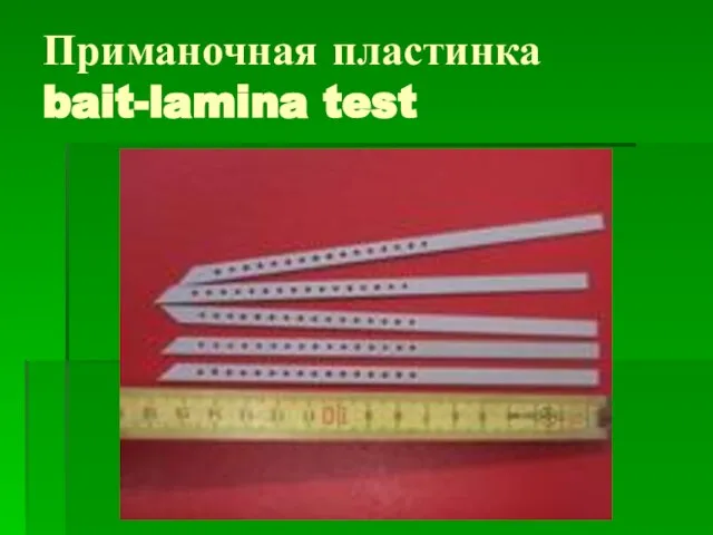 Приманочная пластинка bait-lamina test