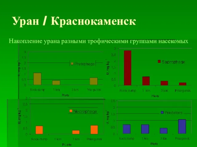 Накопление урана разными трофическими группами насекомых Уран / Краснокаменск