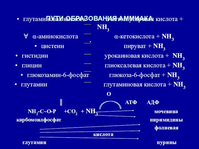 ПУТИ ОБРАЗОВАНИЯ АММИАКА глутаминовая кислота α-кетоглутаровая кислота + NH3 α-аминокислота α-кетокислота +