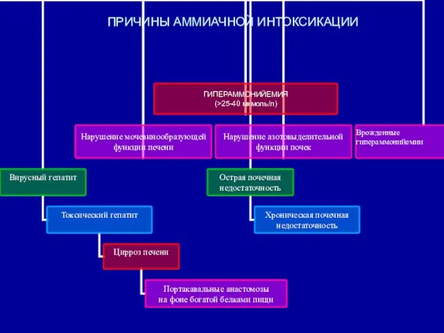 ПРИЧИНЫ АММИАЧНОЙ ИНТОКСИКАЦИИ