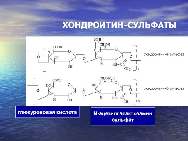 ХОНДРОИТИН-СУЛЬФАТЫ глюкуроновая кислота N-ацетилгалактозамин сульфат