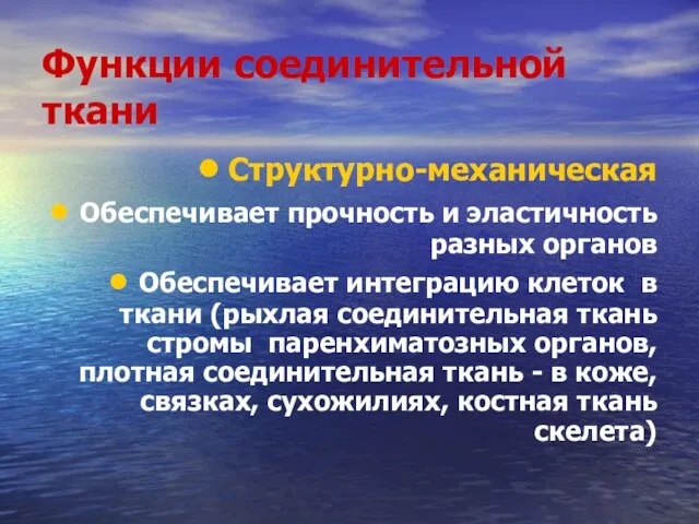 Функции соединительной ткани Структурно-механическая Обеспечивает прочность и эластичность разных органов Обеспечивает интеграцию