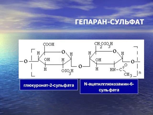 ГЕПАРАН-СУЛЬФАТ глюкуронат-2-сульфата N-ацетилглюкозамин-6- сульфата