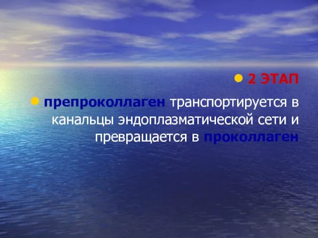 2 ЭТАП препроколлаген транспортируется в канальцы эндоплазматической сети и превращается в проколлаген