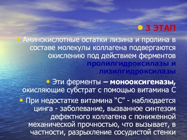 3 ЭТАП Аминокислотные остатки лизина и пролина в составе молекулы коллагена подвергаются