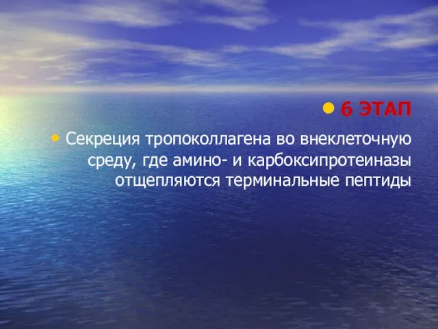 6 ЭТАП Секреция тропоколлагена во внеклеточную среду, где амино- и карбоксипротеиназы отщепляются терминальные пептиды