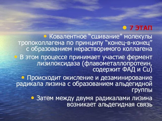 7 ЭТАП Ковалентное “сшивание” молекулы тропоколлагена по принципу “конец-в-конец” с образованием нерастворимого