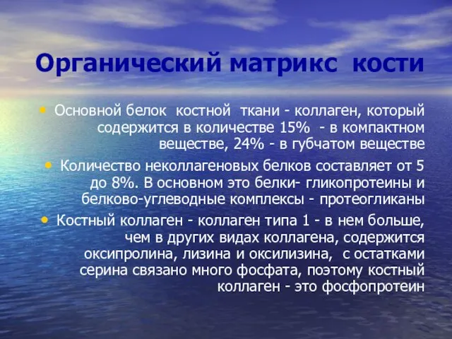 Органический матрикс кости Основной белок костной ткани - коллаген, который содержится в