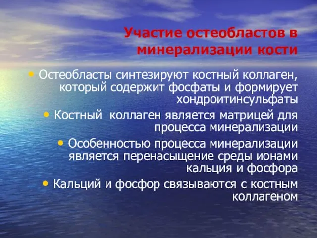 Участие остеобластов в минерализации кости Остеобласты синтезируют костный коллаген, который содержит фосфаты