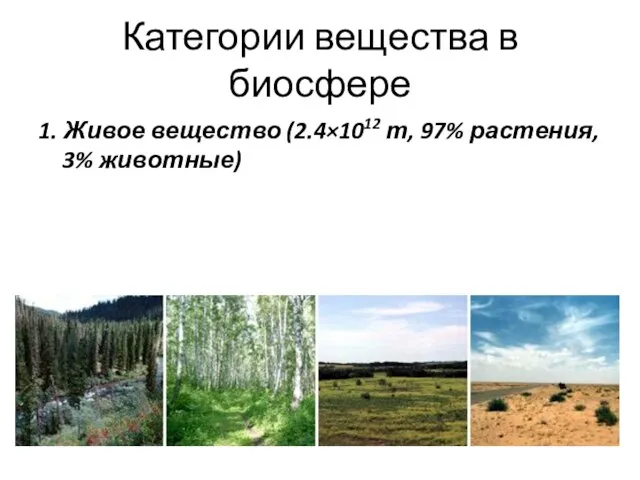 Категории вещества в биосфере 1. Живое вещество (2.4×1012 т, 97% растения, 3% животные)