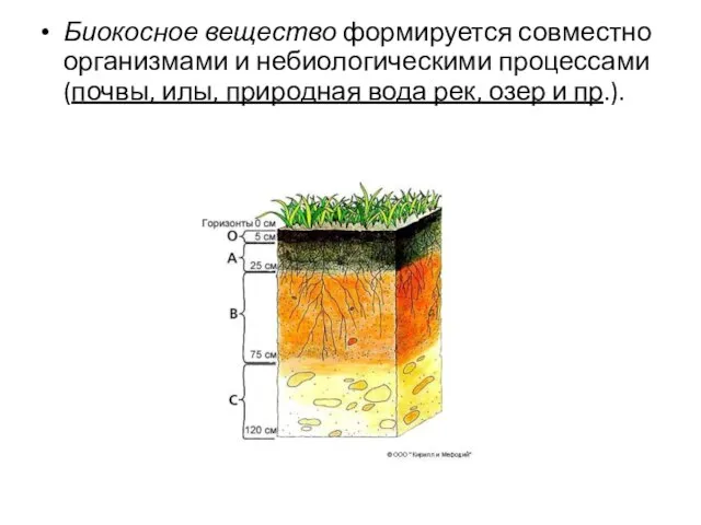 Биокосное вещество формируется совместно организмами и небиологическими процессами (почвы, илы, природная вода рек, озер и пр.).