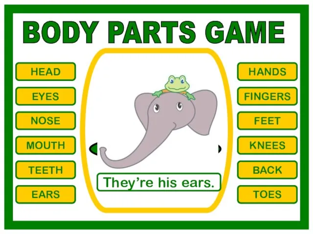 BODY PARTS GAME HEAD EYES NOSE MOUTH TEETH EARS HANDS FINGERS FEET