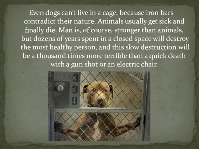 Even dogs can’t live in a cage, because iron bars contradict their