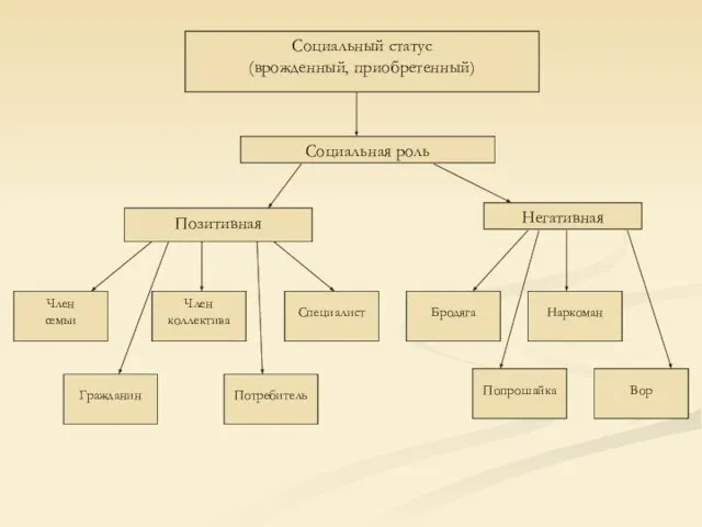 Социальный статус (врожденный, приобретенный) Социальная роль Позитивная Негативная Член семьи Член коллектива