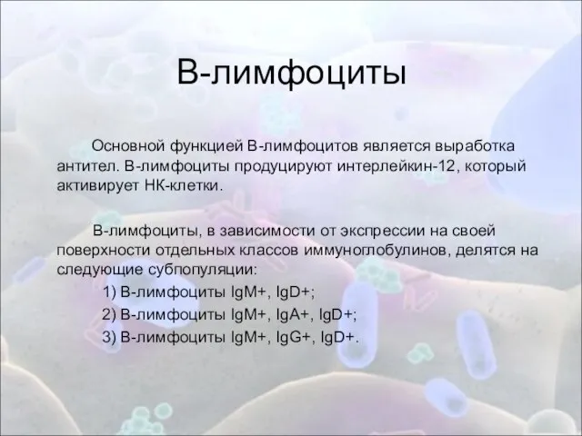 В-лимфоциты Основной функцией B-лимфоцитов является выработка антител. B-лимфоциты продуцируют интерлейкин-12, который активирует