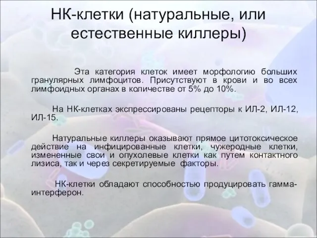 НК-клетки (натуральные, или естественные киллеры) Эта категория клеток имеет морфологию больших гранулярных