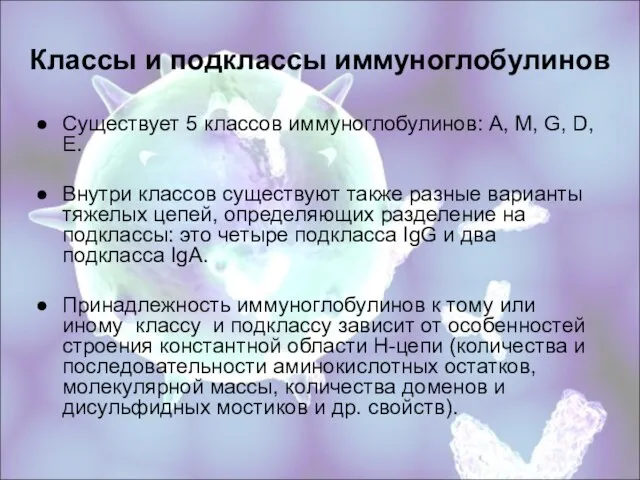 Классы и подклассы иммуноглобулинов Существует 5 классов иммуноглобулинов: А, М, G, D,