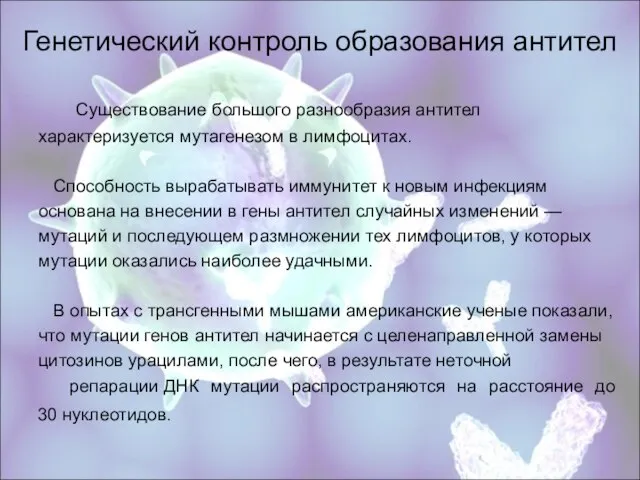 Генетический контроль образования антител Существование большого разнообразия антител характеризуется мутагенезом в лимфоцитах.