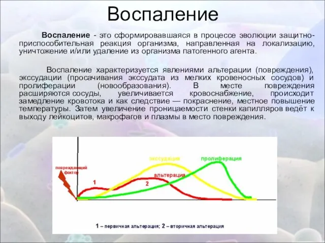 Воспаление Воспаление - это сформировавшаяся в процессе эволюции защитно-приспособительная реакция организма, направленная