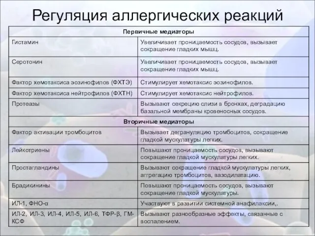 Регуляция аллергических реакций