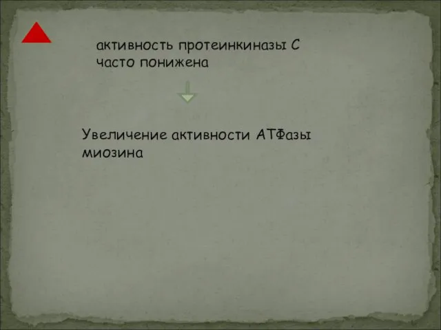 активность протеинкиназы С часто понижена Увеличение активности АТФазы миозина