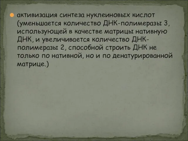 активизация синтеза нуклеиновых кислот (уменьшается количество ДНК-полимеразы 3, использующей в качестве матрицы